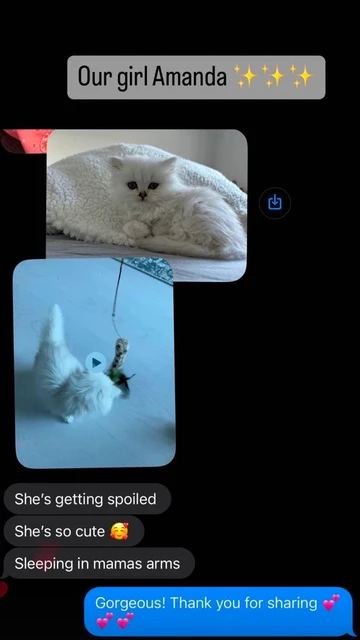 Client Review